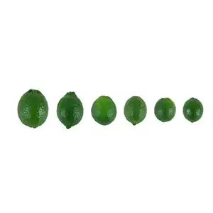 Fruit sorting can meet the needs of different customers