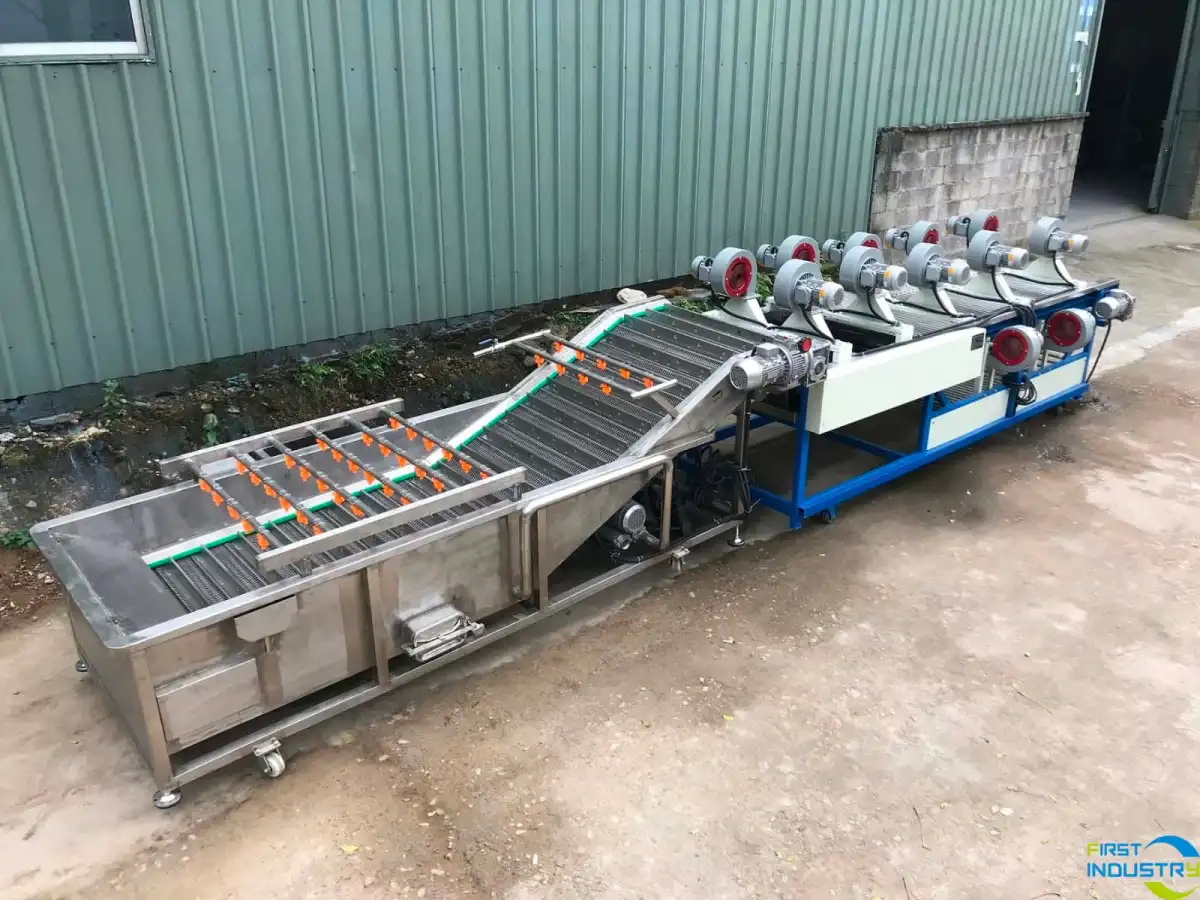 Fruit washing and drying machine Fruit washing and drying machine