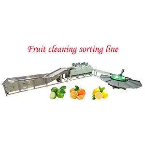 Fruit washing drying grading machine sold to Egypt