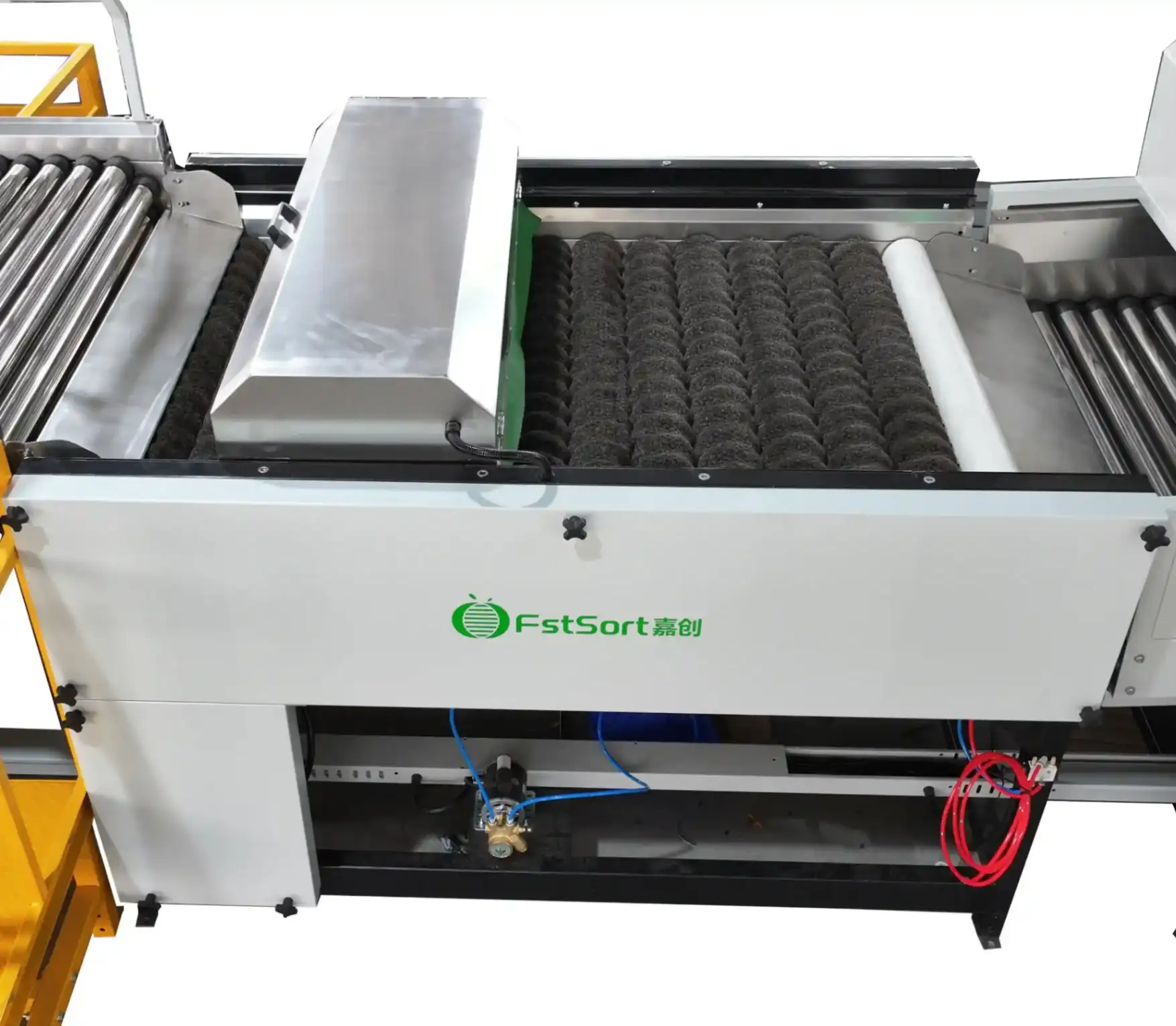 fruit waxing machines made in China