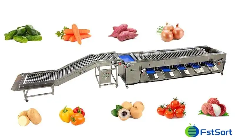 FstSort adjustable roller grader – roller grading machine with large and small fruit configurations