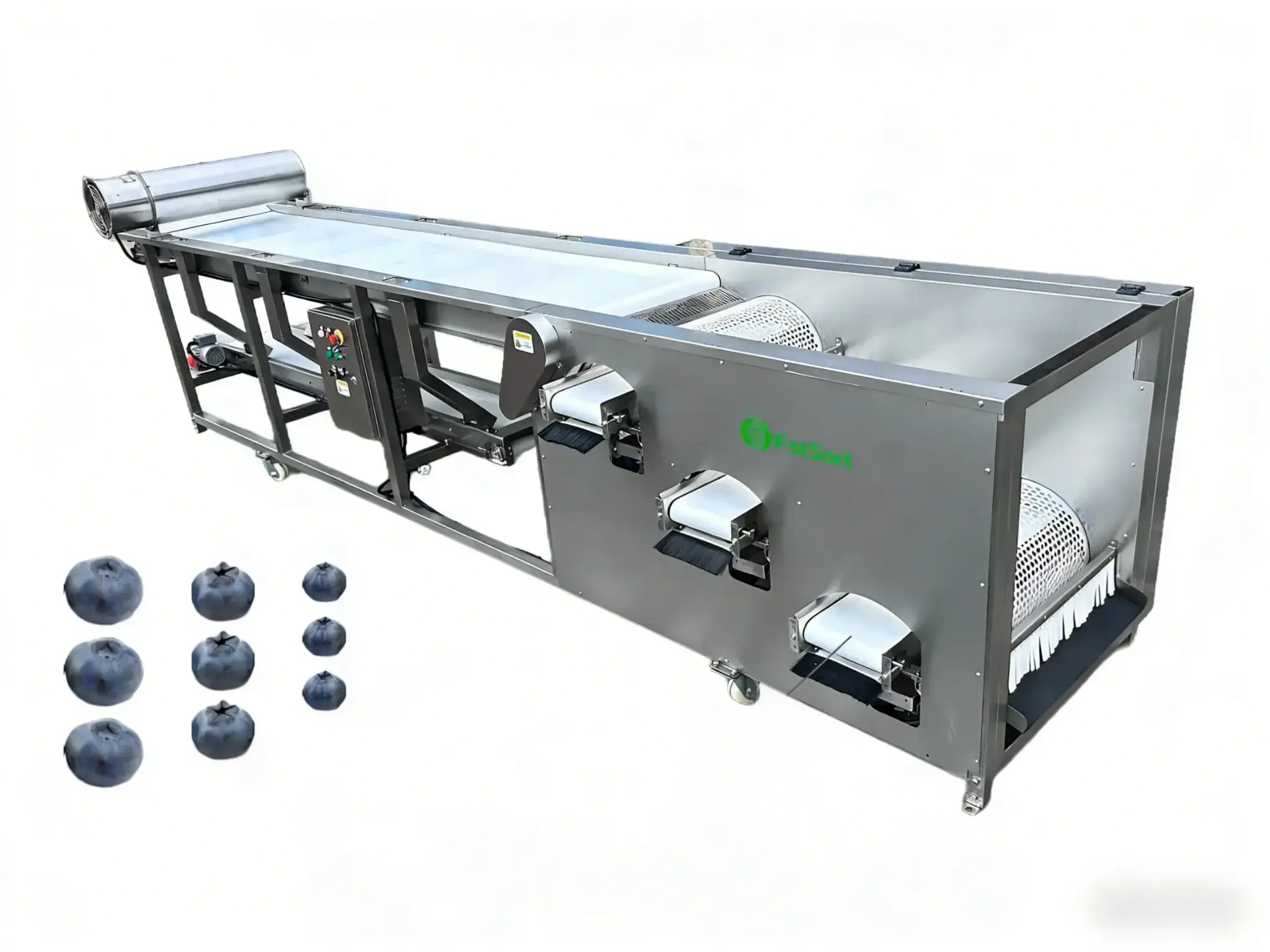 Fstsort blueberry grader sizer can sort blueberries into different sizes