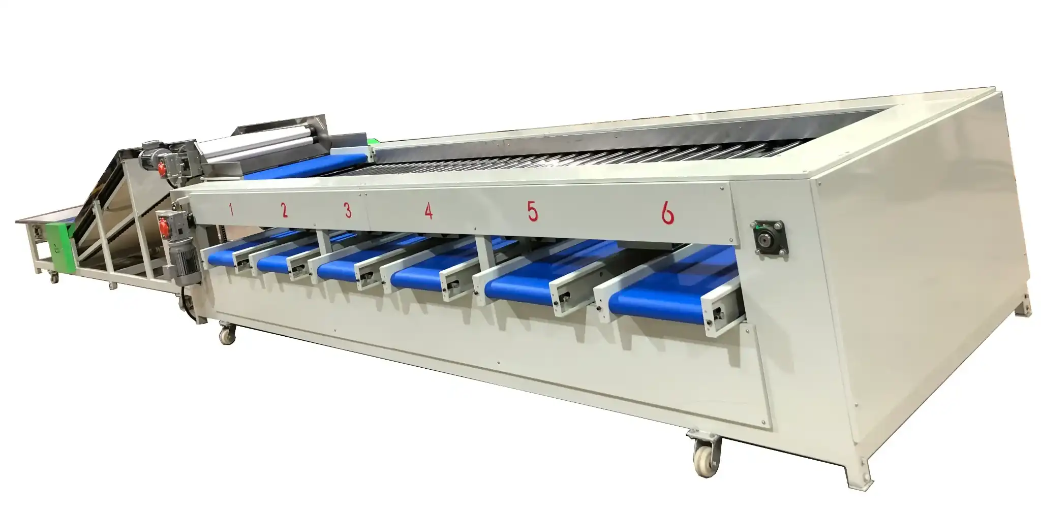 FstSort capsicum sizer – 6-size bell pepper sorting machine for American customer