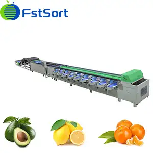 Fstsort fruit sorting machines