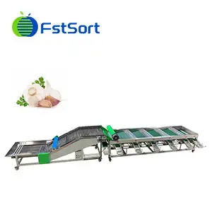 Fstsort Garlic Grading Machine
