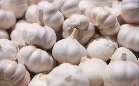 Fstsort Garlic Sorting Machine