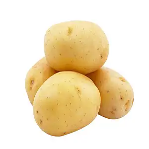 Fstsort Introduces Advanced Adjustable Roller Sorter to Boost Efficiency in Pakistan's Potato Industry