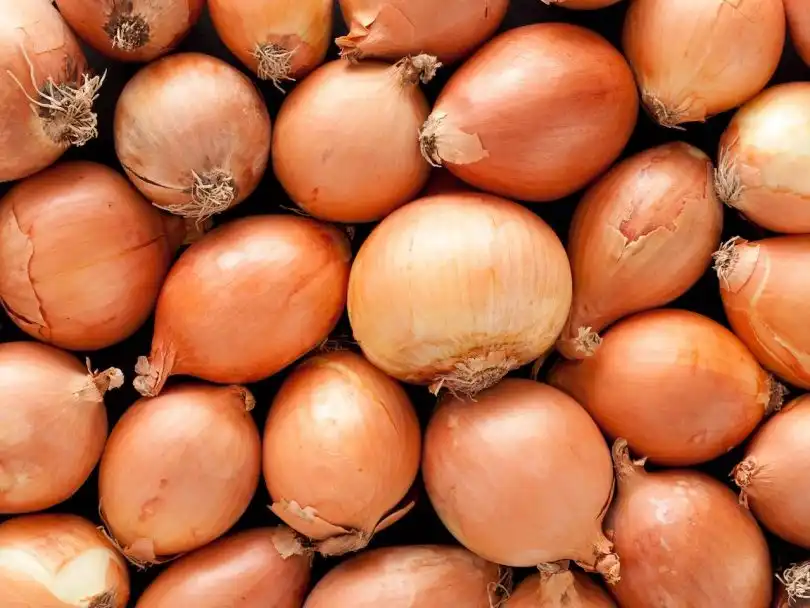 FstSort launches new onion grading machine