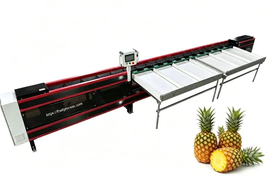 Fstsort pineapple sorting machine by wight