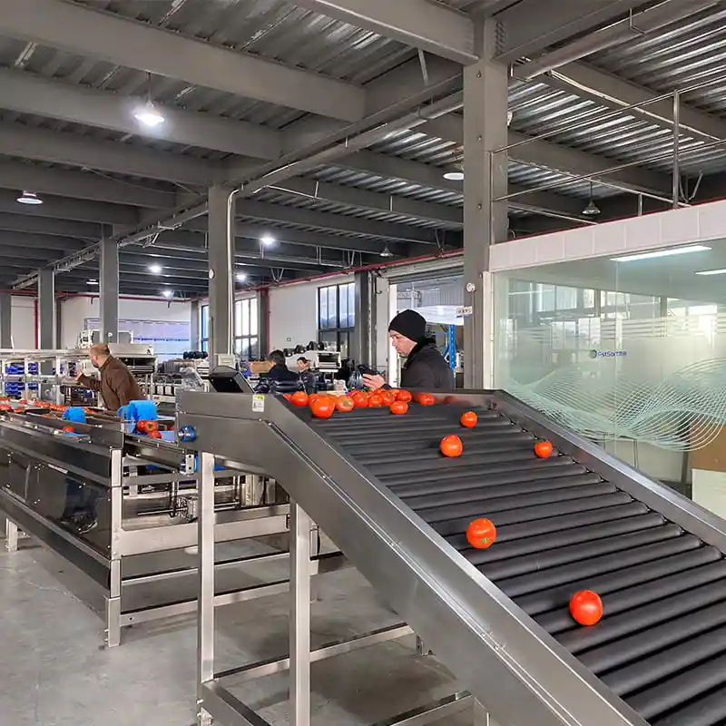 Fstsort welcomes Jordanian customer for plant tour