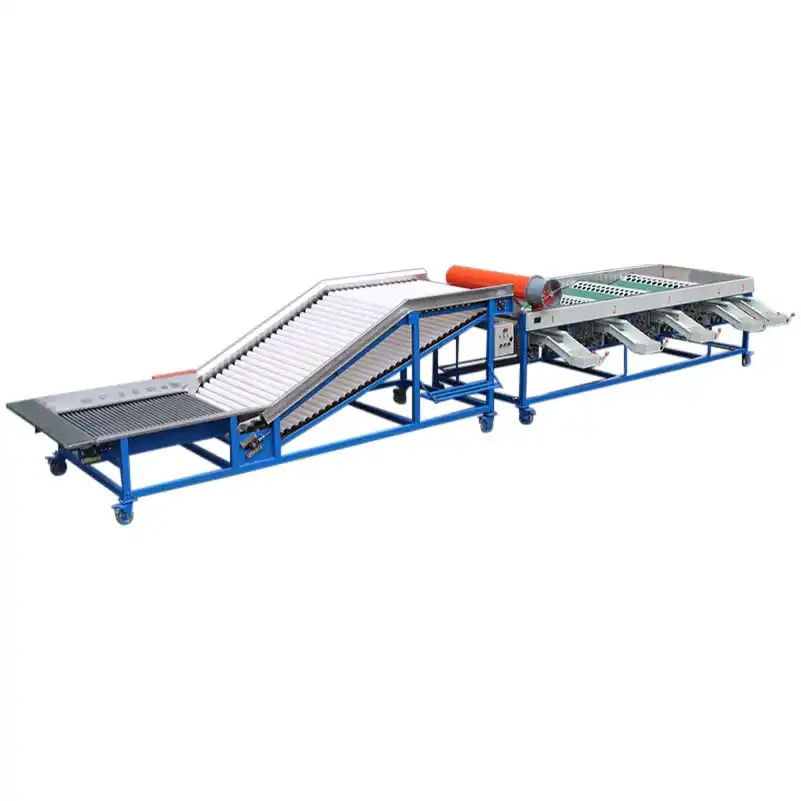 Garlic Grader