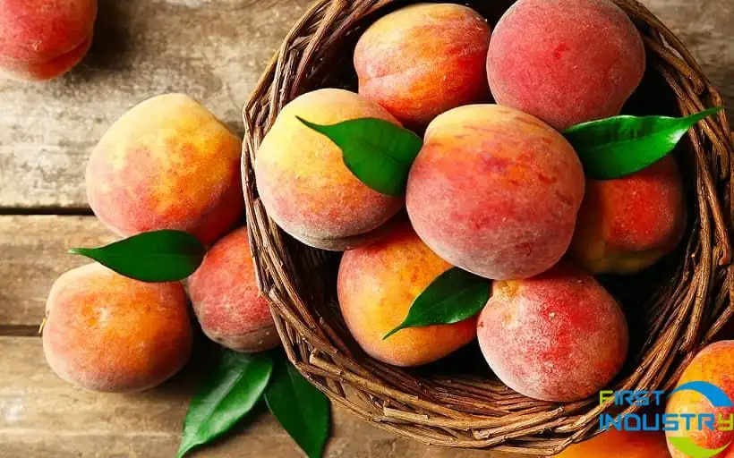peaches peaches