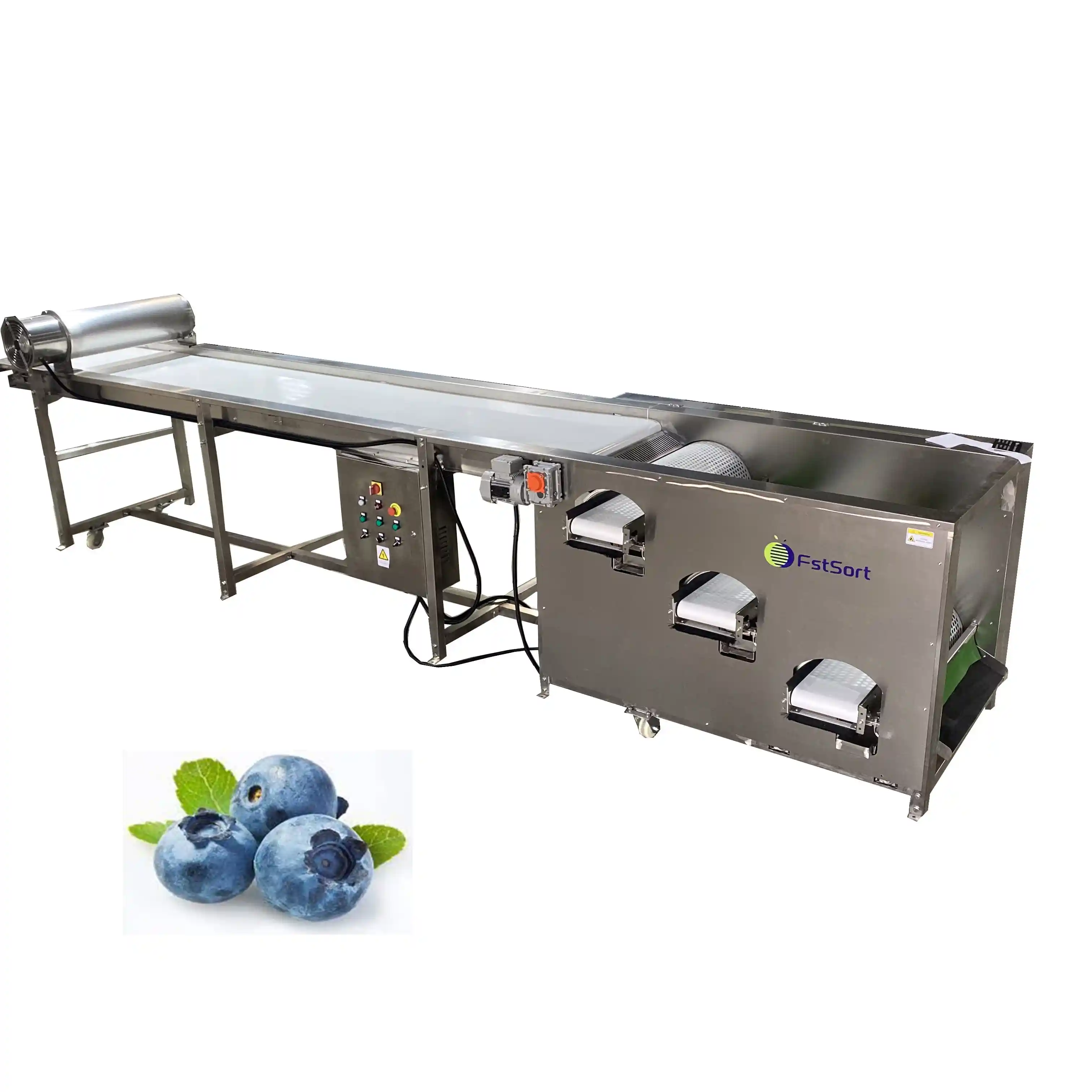 Grader for blueberry sorting
