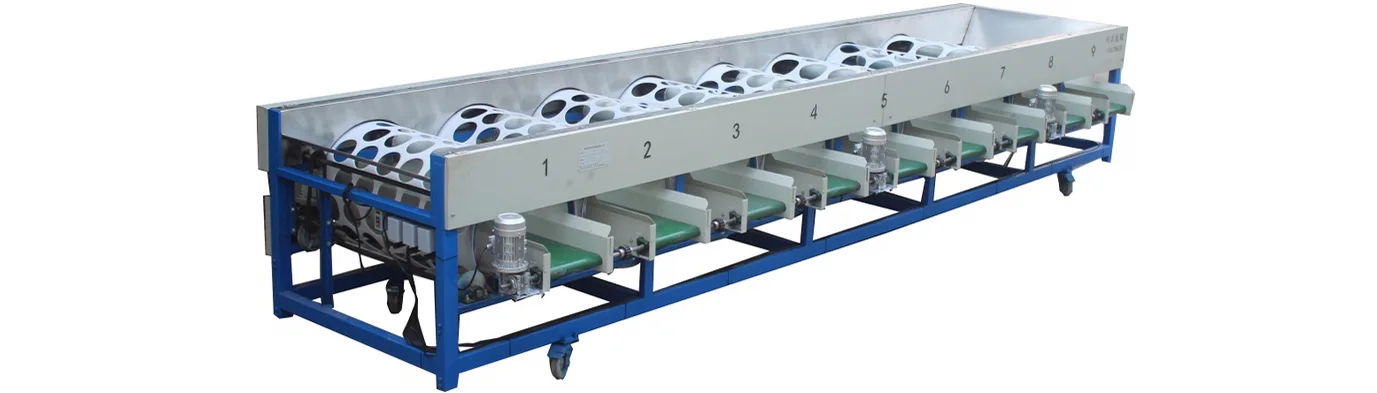 Grapefruit Grading Machine