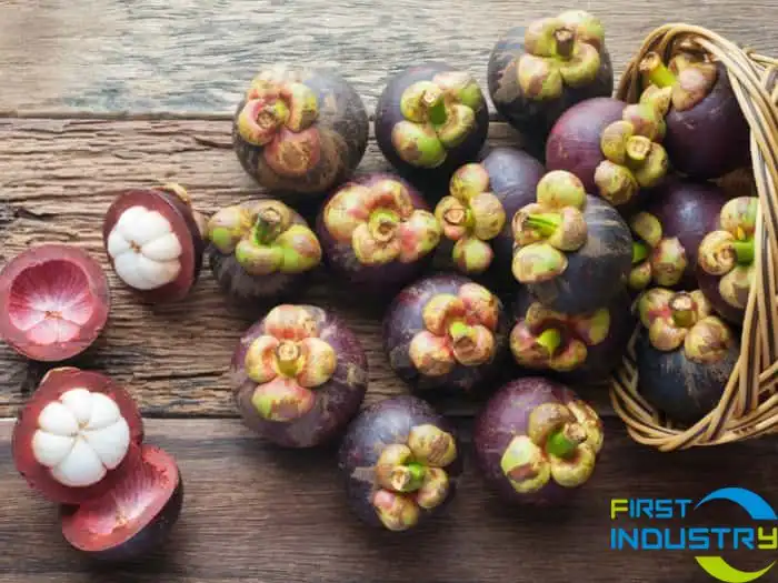 images/1558413843586mangosteen.jpg images/1558413843586mangosteen.jpg