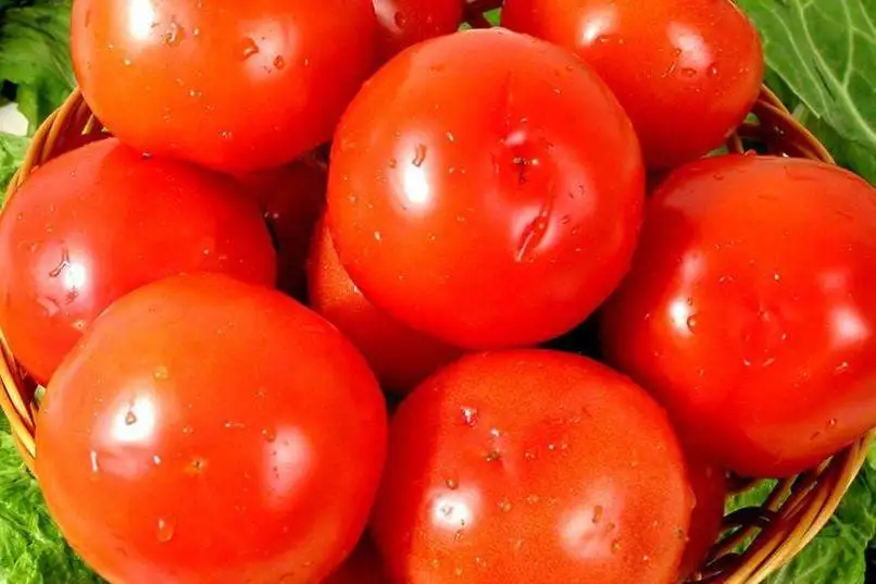 tomato tomato