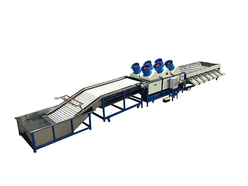 tomato washing grading machine tomato washing grading machine