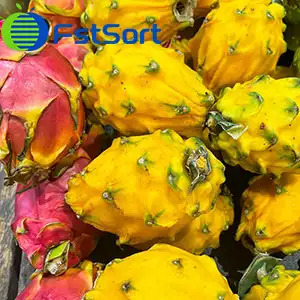 High efficiency grading line for dragon fruit