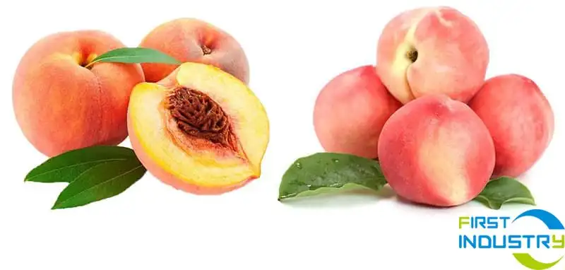peaches peaches