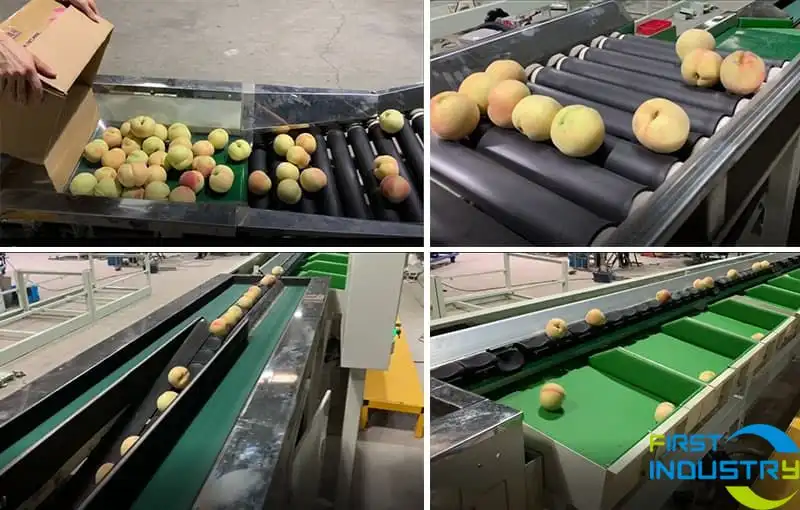 peach-sorting-machine peach-sorting-machine