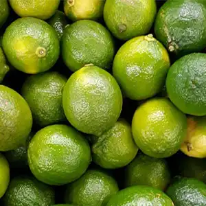 Highly cost effective lime sorting machine