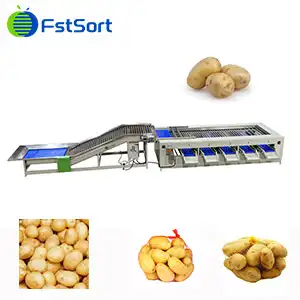 How Much Does a Potato Grader Cost? – Price Range & Key Buying Factors