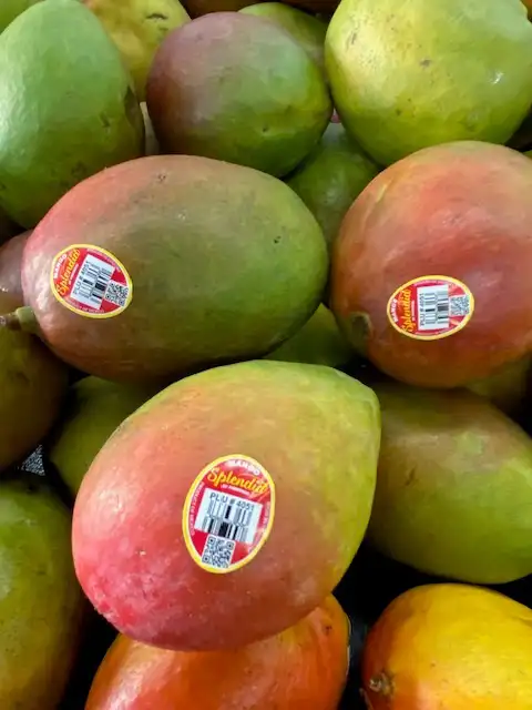 How to clean and sort mangoes in Mexico fruit processing plants
