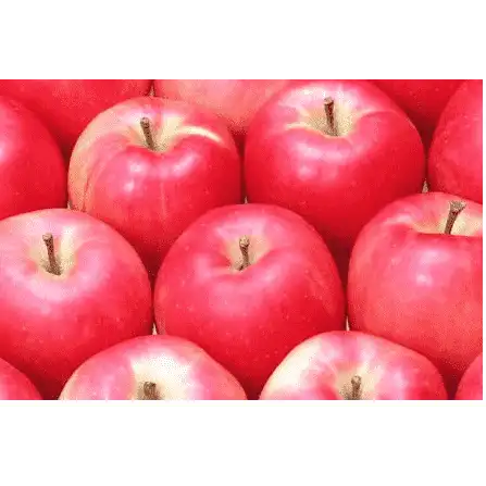 How to purchase a machine for grading apple