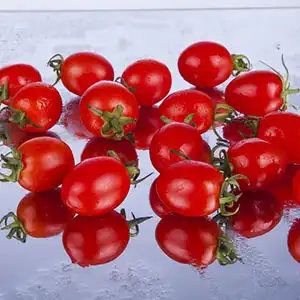 How to quickly sort cherry tomatoes
