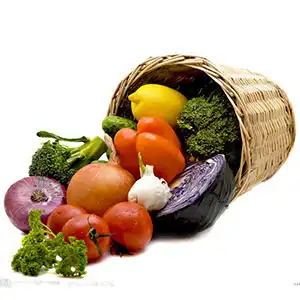 How to resume normal business in fruit and vegetable processing industry