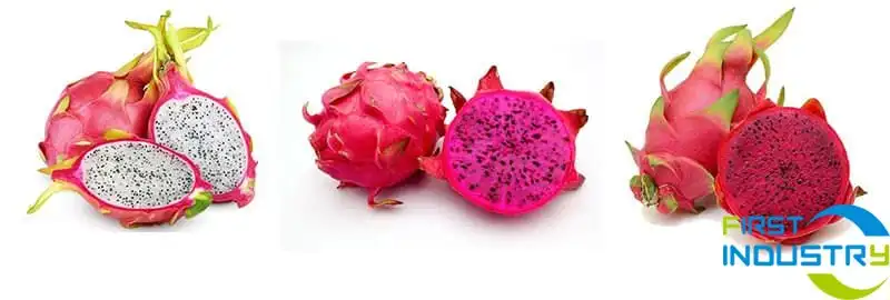 dragon-fruit dragon-fruit