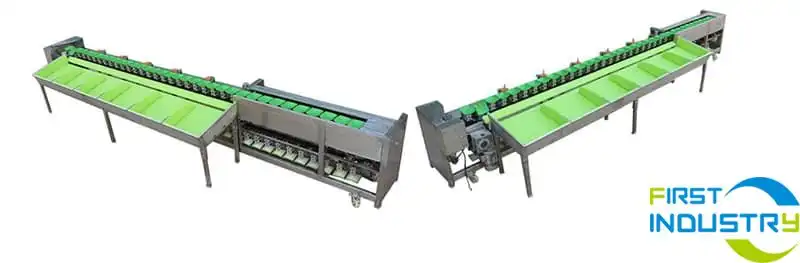 dragon-fruit-grader dragon-fruit-grader