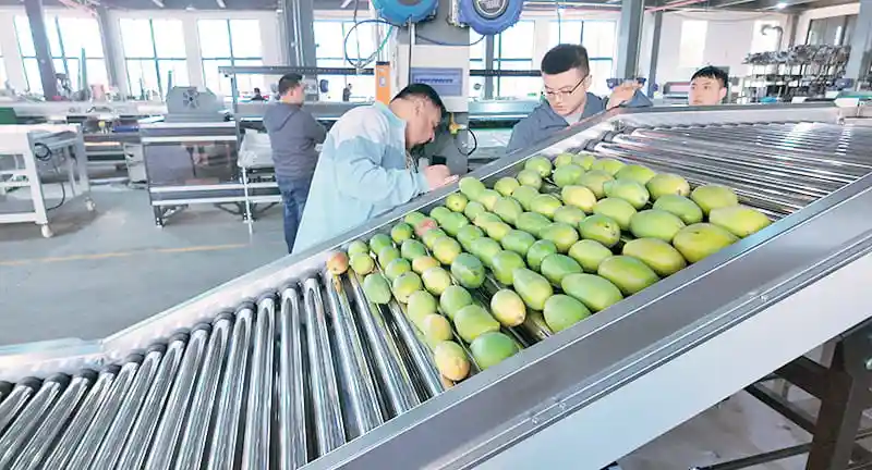 Inspection before shipping machines to India