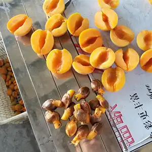 Introducing the Advanced Cherry Pitter: Precision Core Removal for Stone Fruits