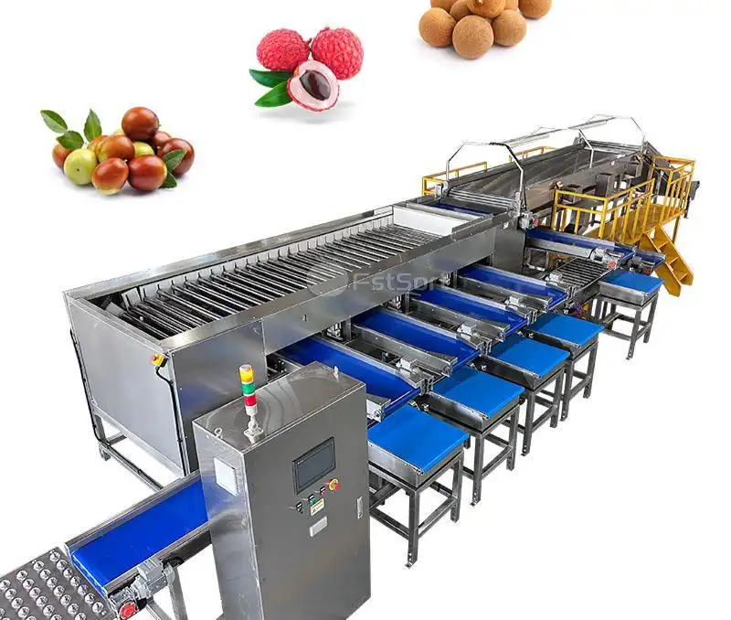 Jujube Grading & Packing Line - Roller Grader by FstSort