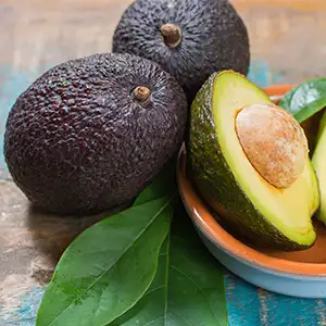 Kenya's avocado exports have grown steadily in the past 2020