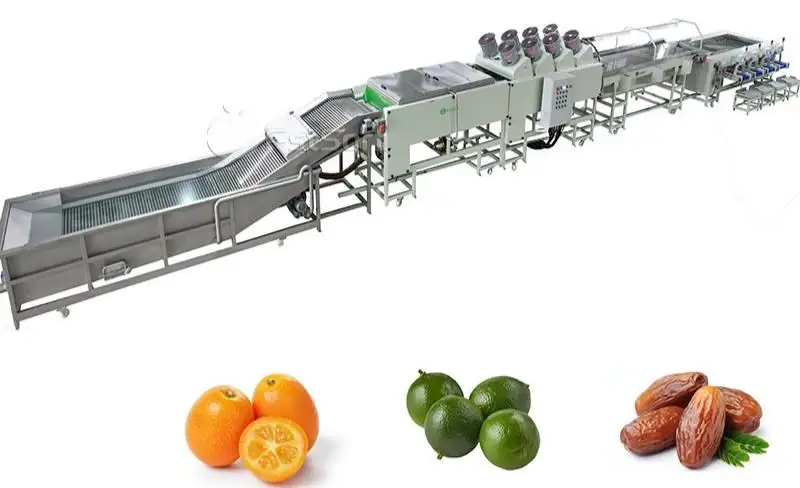 kumquat washing drying sorting packing line from Fstsort China