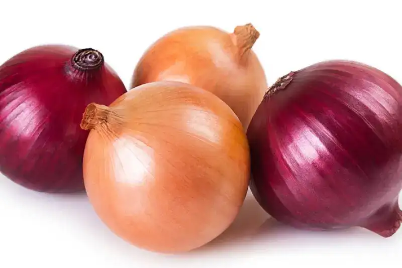 Large-capacity Onion Grading Machine