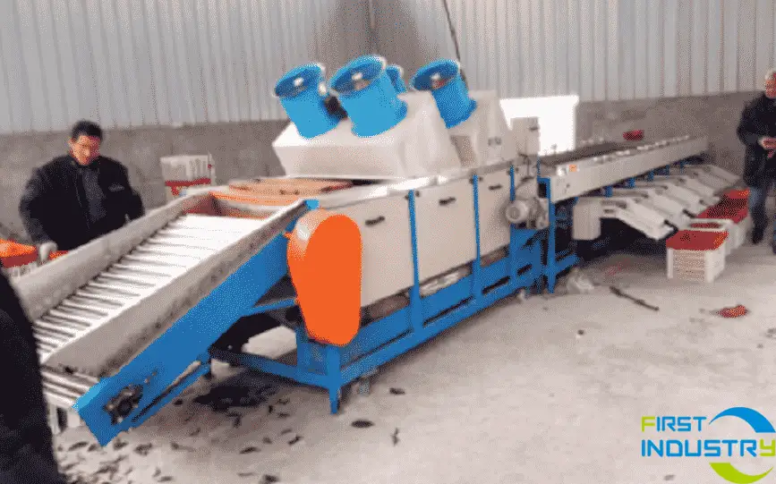 orange grading machine orange grading machine