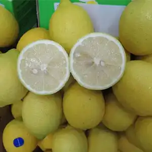 Lemon size grader