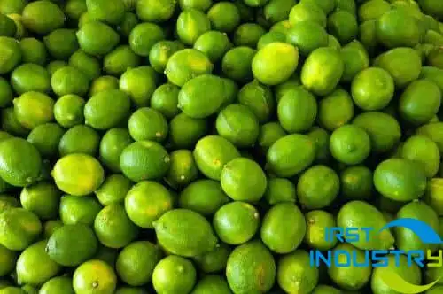 lime lime