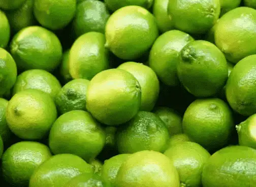 Lime processing line