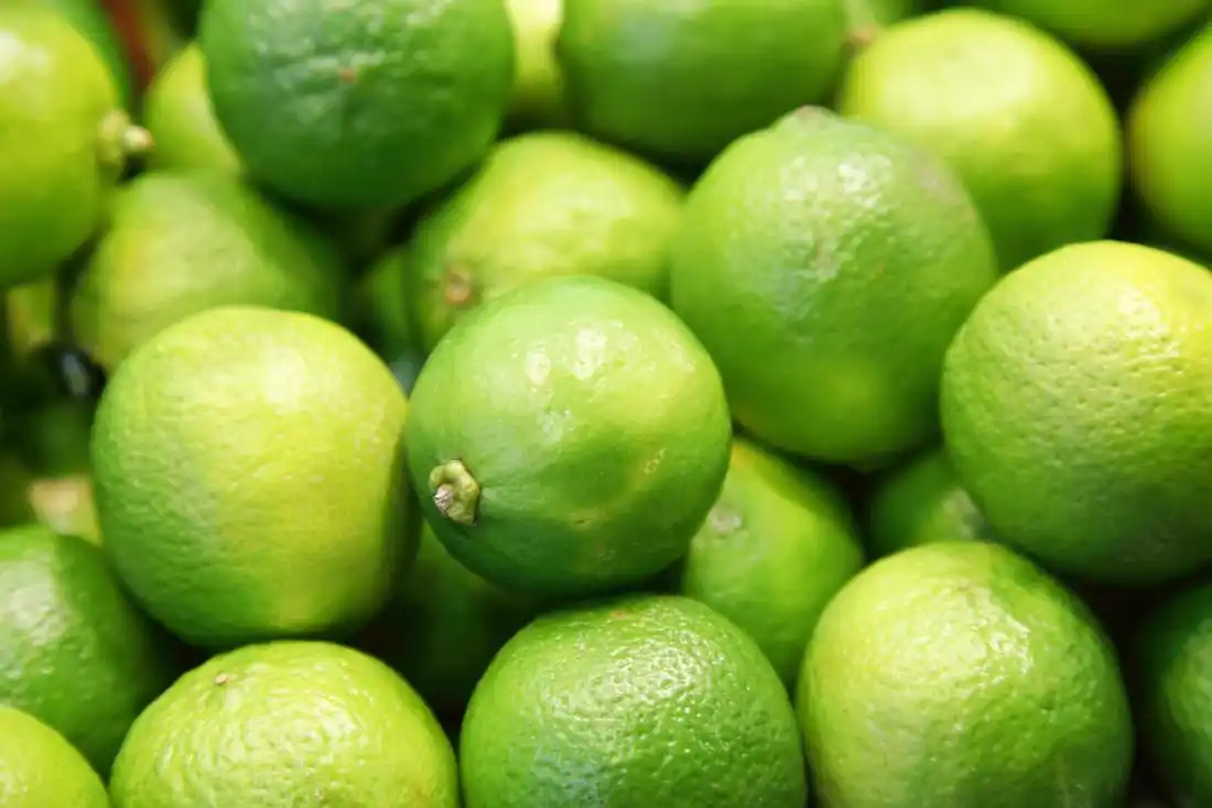 Lime sorting machine