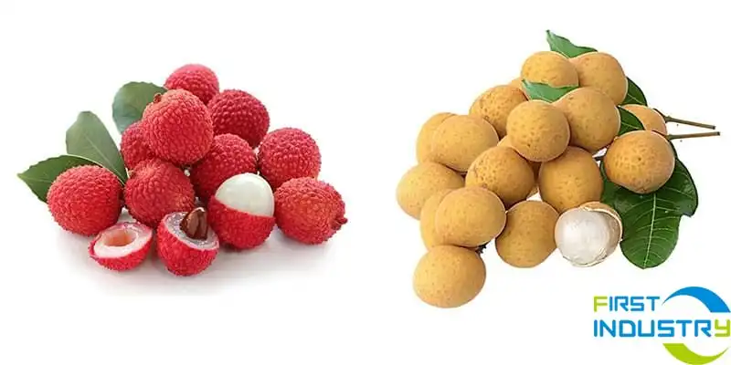 images/1585723319343lichi-and-longan.jpg