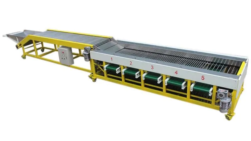 Longan Grading Machine - FstSort