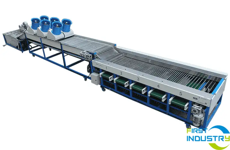 lychee grading machine lychee grading machine