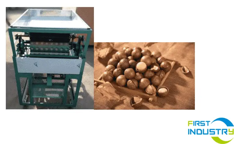 Macadamia Nuts Grading Macadamia Nuts Grading