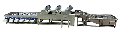 Mandarin Processing Line | Washing, Waxing, Drying & Grading Machines - FstSort