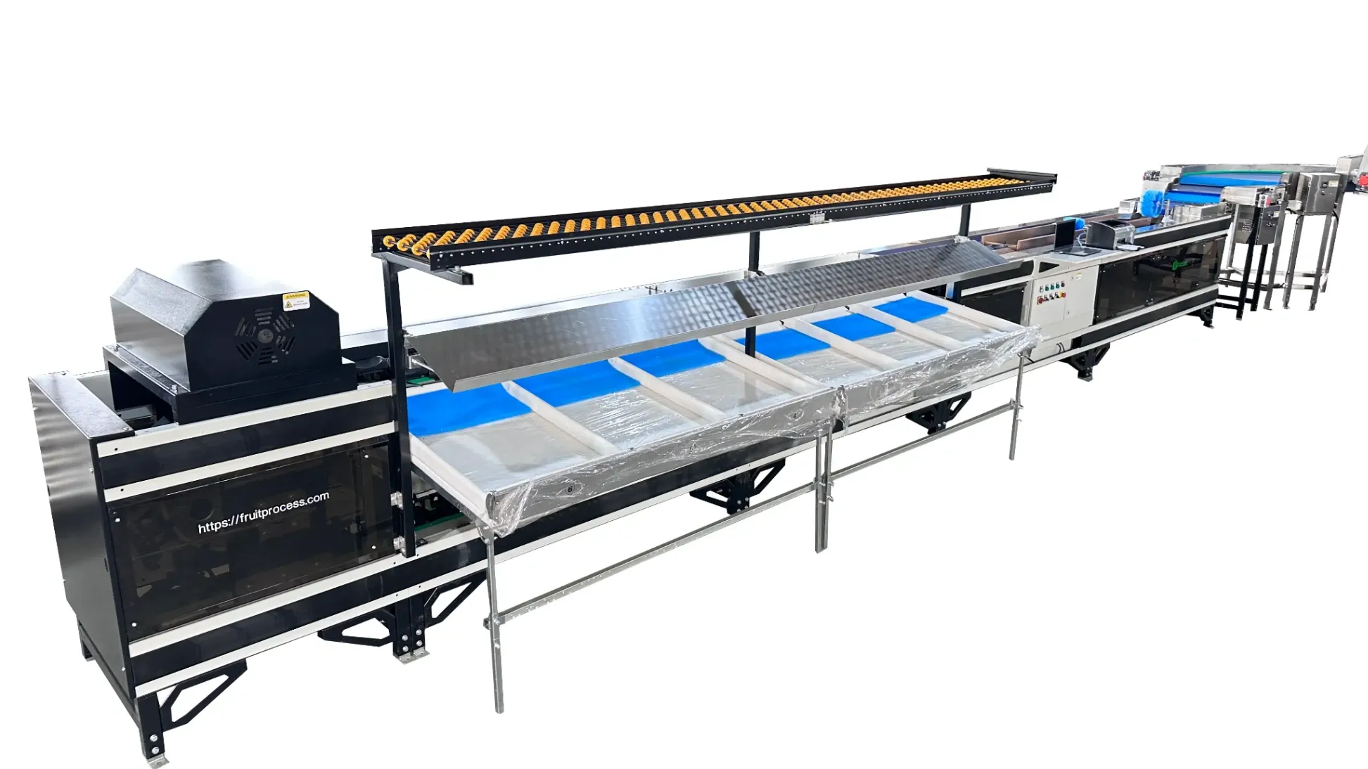 Mango Grading Machine - FstSort