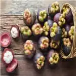 Mangosteen cleaning and drying machine has been loaded